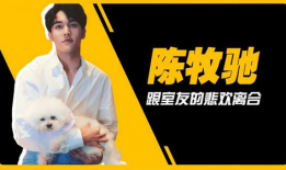 吴楚一娱乐圈吃瓜,揭秘明星背后的“吃瓜”故事