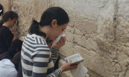 娱乐圈吃瓜鹅,揭秘明星背后的故事与真相